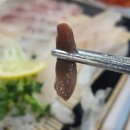 단관초교길 | 원주 관설동 현지인 회맛집 "행복회수산" 스페셜행복회·대하회 내돈내산 후기