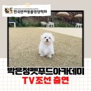 박은정펫푸드아카데미학원