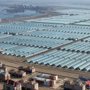 방대농장 이미지