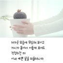 심플한 배경화면/프로필사진 (선인장 ver.) 이미지