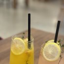 투카인즈오브커피