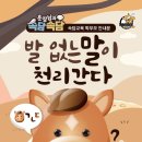 인성 태비 태권도 이미지