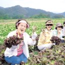 유기농트래블 이미지