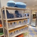 현대세탁소 이미지