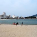 송도해수욕장 이미지