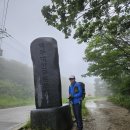 2024.07.03(수)금대봉 분주령 대덕산~1 이미지