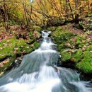 새춘천주유소 이미지