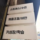 힐링핏영양 | 목동 힐링핏 뇌파 분석 체험 후기 | 내 몸 상태를 돌아보는 시간