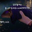 잡아잡아낚시카페 | 아이랑 일산놀거리 추천 놀이터실내낚시카페 화정역점 후기