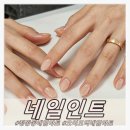 네일인트