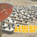 프롬서프
