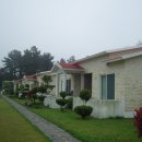 이디살래 이미지