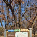 수성구립무학숲도서관 이미지