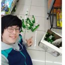 치킨치로 네이버블로그