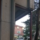 엠에스커피숍 | 정발산 커피숍 시공 후기
