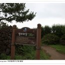 힐링명상 티스토리