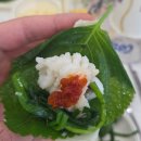 금비늘 | [여수 현지인 맛집] 하모샤브 + 하모사시미 맛집 '금비늘'