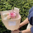 미니메리 이미지