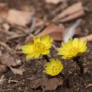남산공원 일주로 이미지