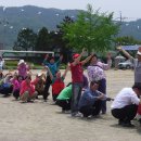 묘량중앙초등학교 이미지