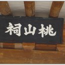도산사 티스토리
