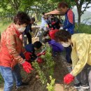 영산포풍물시장 이미지