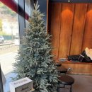 정촌초등학교 | 진주 라멘 맛집 추천 일본식 돈코츠라멘 경상대 맛집 류센소 진주점