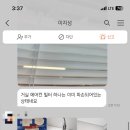 빛나라광나라 이미지