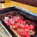 애견명가 이미지