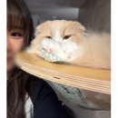우리가 한 뱃속에서 나왔나요? 연애도 할 수 있는 나이인데...