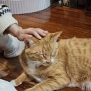 애월다락방 이미지