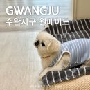 광주 수완지구 속눈썹펌 상주견이 있는 원메이드 추천 후기