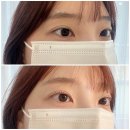 421 | 강남속눈썹펌 재방문200% 프리미엄에코펌 후기 [421studio 강남점]