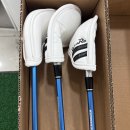 플러스AD | 로마로 레이 알파 플러스 아이언 투어 ad 샤프트 sx pro 웨지 세트 구매 후기