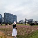 청와대 관람 후기 / 청와대 국민 품으로 !