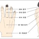 수지요법초급 이미지