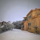 캘리포니아 하우스 펜션 이미지