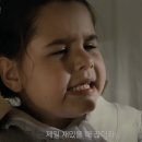 재지마인드, 더 폴(🚨약 스포),위트앤시니컬, 창경궁, 연희김밥, 도망간 7018번 버스