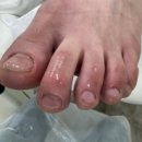 레푸스앤두두뷰티