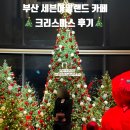 세븐(강서공항중앙) | 🎄부산 세븐아일랜드 카페 크리스마스 후기(인공눈 시간표·포토존·테이크아웃 할인까지)
