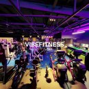 바이브 피트니스 이미지