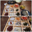 윤가한약방 | 소답동 연잎밥집 윤가한약방 내돈내산후기