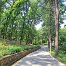 화원유원지 이미지