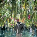 운악채한옥마을2 이미지