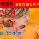 종부테라피 이미지