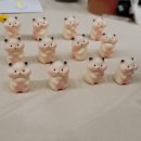 Studio Dolls | 제 28회 프로젝트돌 후기