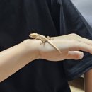 어쩌다게코집사 네이버블로그