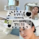 디어듀 | 속건조 잡고 결광 피부 완성 화잘먹 크림의 디어마이듀 하이시카 수딩 밸런스 크림 후기