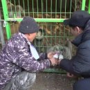이명규농장 Daum카페