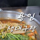 맛대구탕 | 용인 매운탕 맛집 칼칼하고 깊은 맛의 생대구탕 제주마을